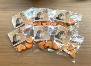 今日は6室とも満室です